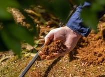 Fertigatie: hogere gewasopbrengst, minder verspilling