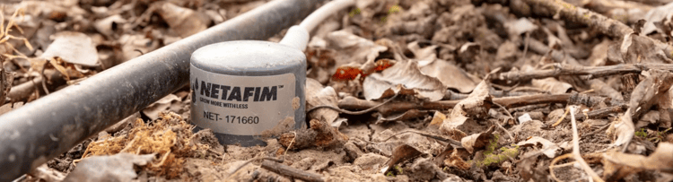 Banner Digital farming: sturen op data in plaats van gevoel