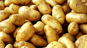 Aardappel